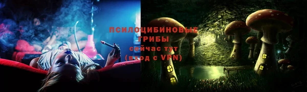 синтетический гашиш Богородицк