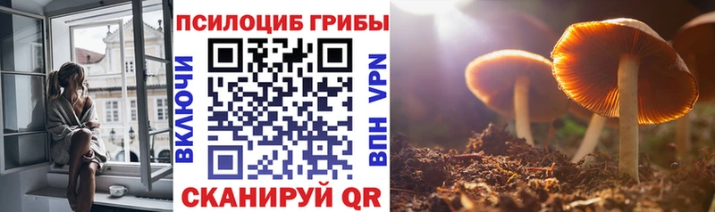 Галлюциногенные грибы Cubensis  Купить  Сосновоборск 